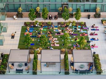 West facing, 7th floor zen garden terrace
